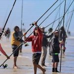 La Fiesta de la Pescadilla fue declarada nacional