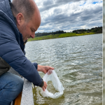 130.000 alevinos y más controles: las acciones para cuidar laguna La Brava